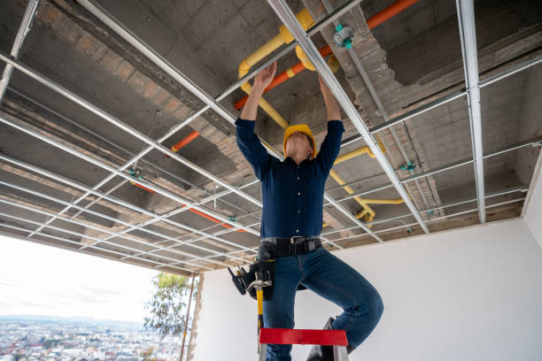 Best Emergency Plumbing Repair  in Kenyon, MN