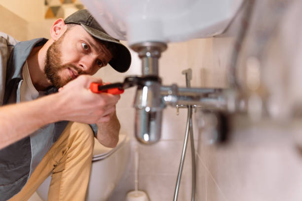 Best Affordable Plumbing Services  in Kenyon, MN