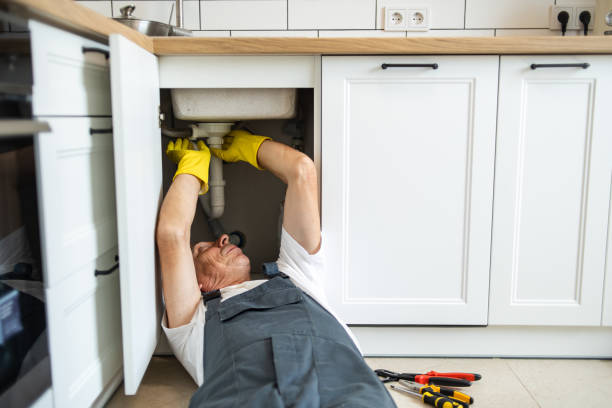 Best Best Plumbers Near Me  in Kenyon, MN