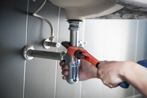 Best Toilet Repair Services  in Kenyon, MN